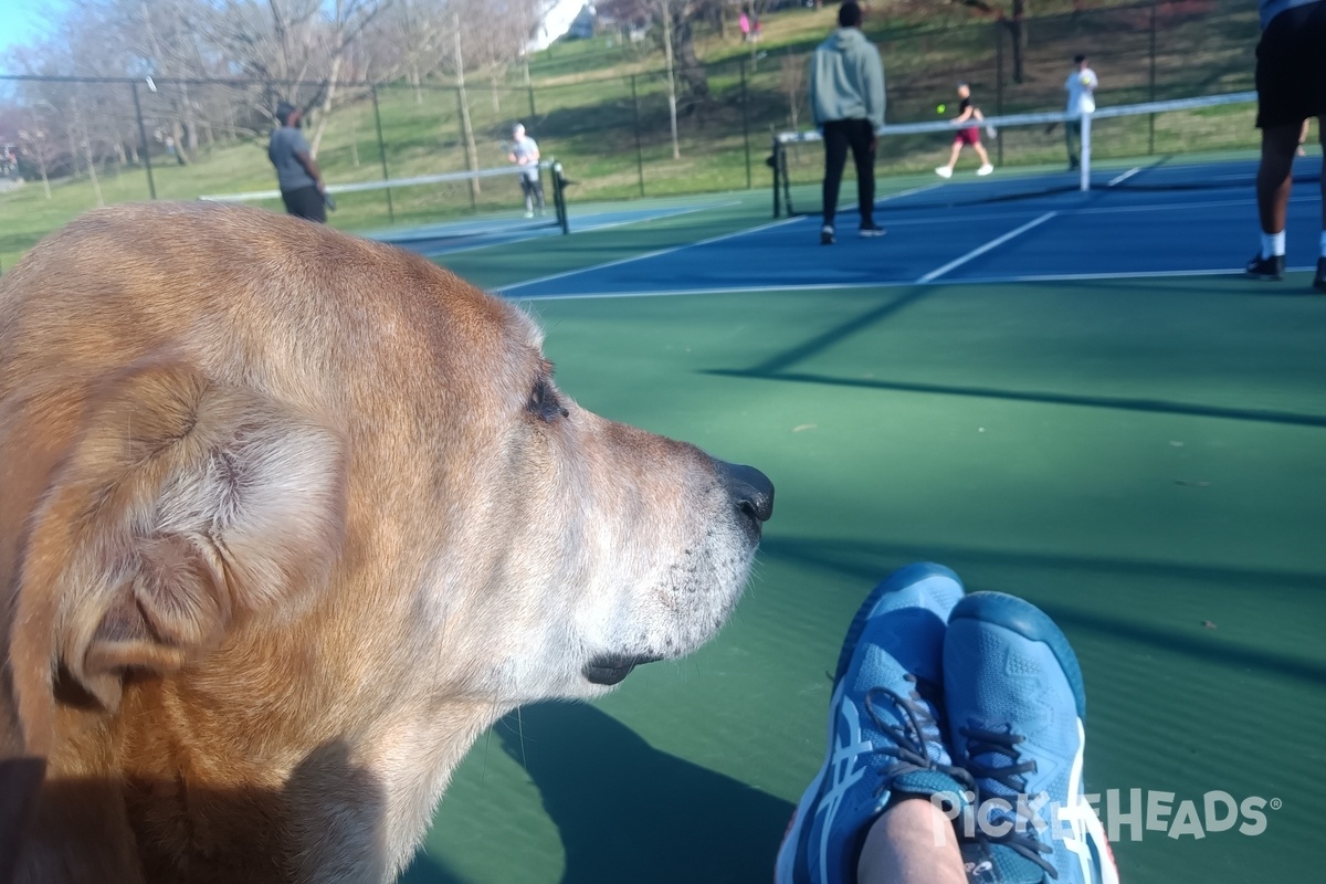 Photo of Pickleball at Tyler Park